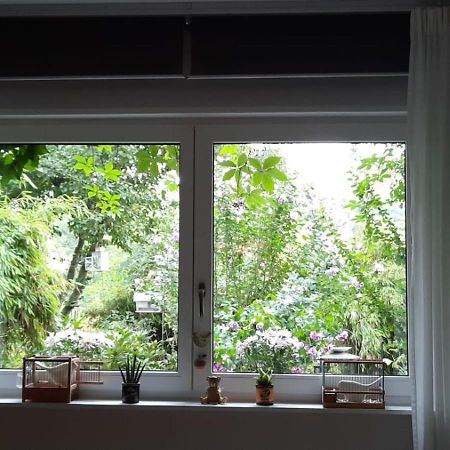Ferienwohnung Hering In Dill Eksteriør bilde