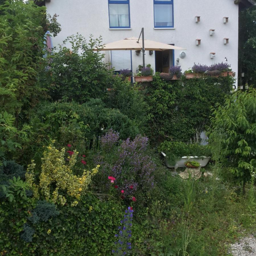 Ferienwohnung Hering In Dill Eksteriør bilde