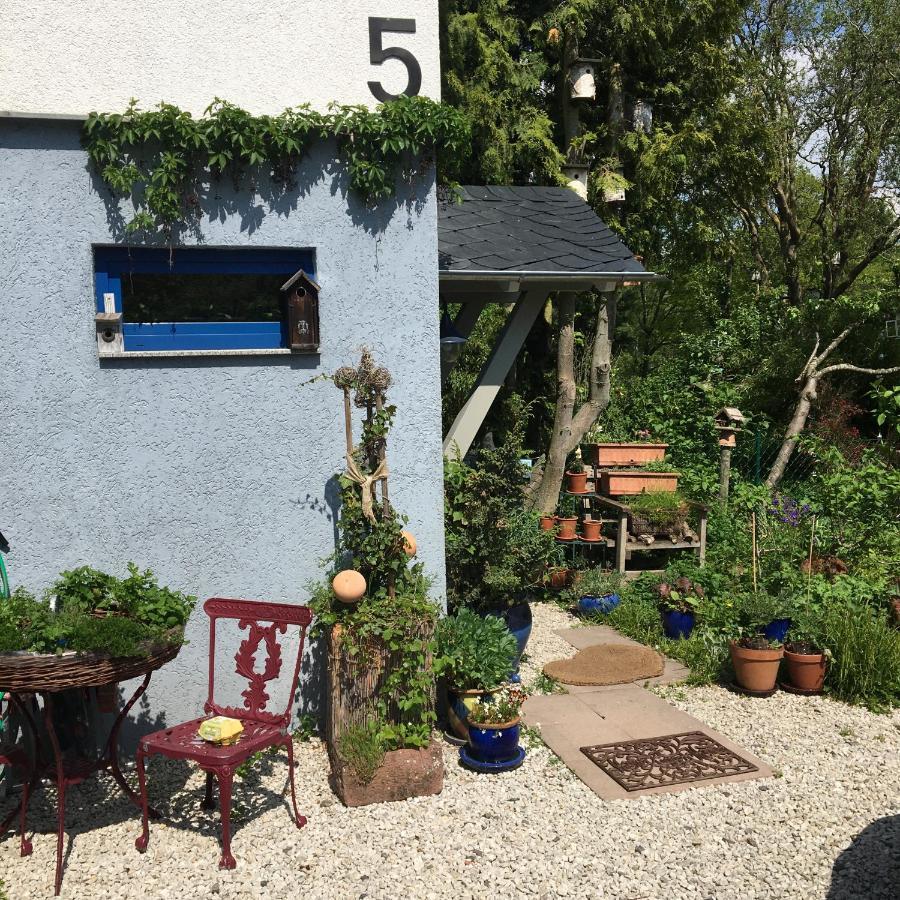 Ferienwohnung Hering In Dill Eksteriør bilde