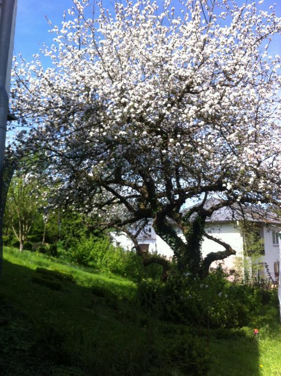 Ferienwohnung Hering In Dill Rom bilde