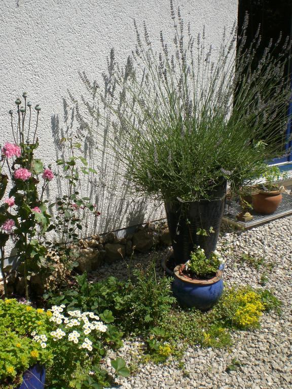 Ferienwohnung Hering In Dill Rom bilde