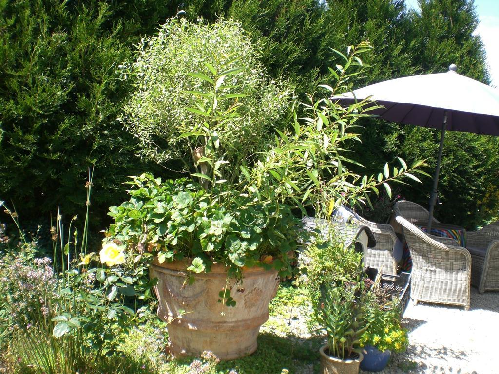 Ferienwohnung Hering In Dill Rom bilde